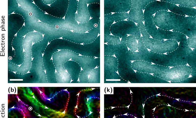 Scientists Find Ordered Magnetic Patterns in Disordered Magnetic ...