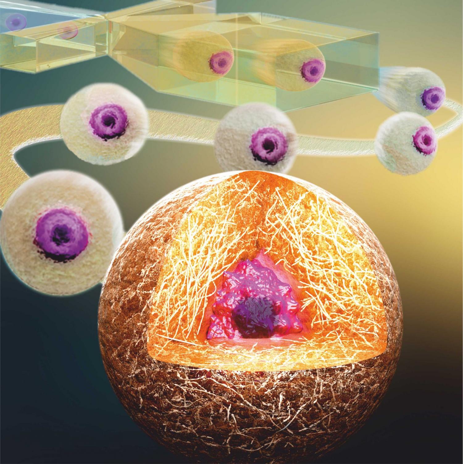 Chip Captures Individual Cells in Minuscule Gels - Research ...