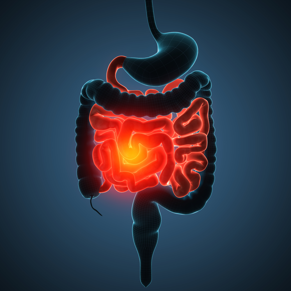 Grant to Support Research Aimed at Benefiting Patients with IBD ...