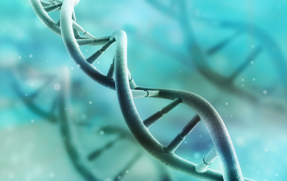 Glycan Can Help Trace Human Evolution When DNA is Not Enough - Research ...