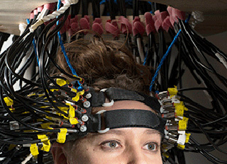 Brainless Scanner Optical brain scanner goes where other brain scanners can’t - Research ...