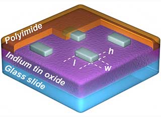 "Rice researchers tune the color output of each array both by varying the length of the nanorods and by adjusting the length of the spaces between nanorods. Courtesy of J. Olson/Rice University