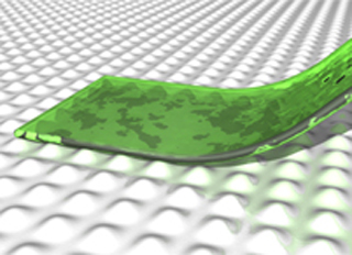 Picture of thin film in contact with an uneven surface. Image: Stefan Lindström and others