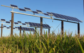 Local sunshine meets local needs with global impact; key is cogenerating electricity alongside farming
