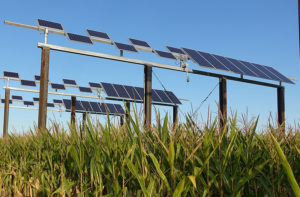 Local sunshine meets local needs with global impact; key is cogenerating electricity alongside farming