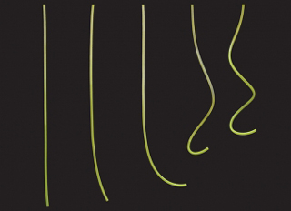 The physics of curly hair - Research & Development World
