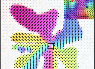 Scientists find patterns, and mystery, in membranes - Research ...