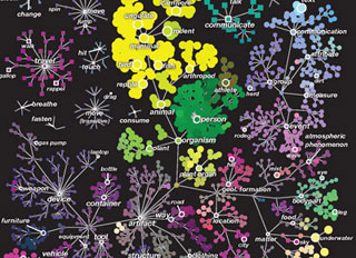 Scientists construct first map of how the brain organizes everything we ...