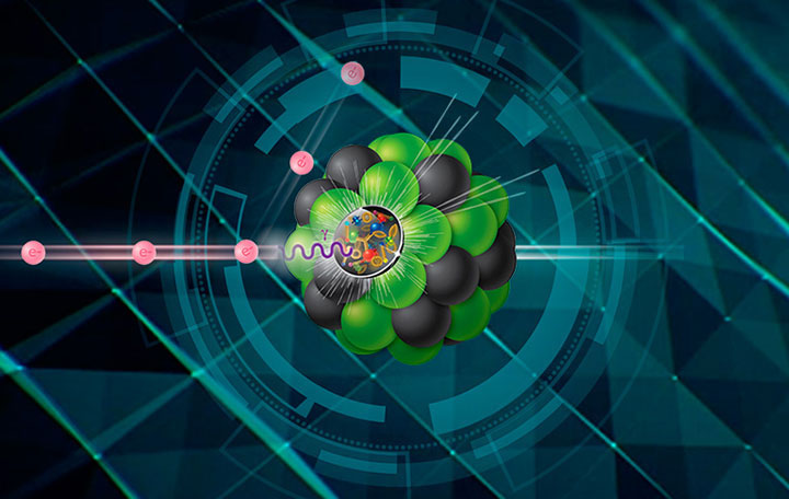 Brookhaven National Laboratory to Host Major New Nuclear Physics Facility -  SBU News