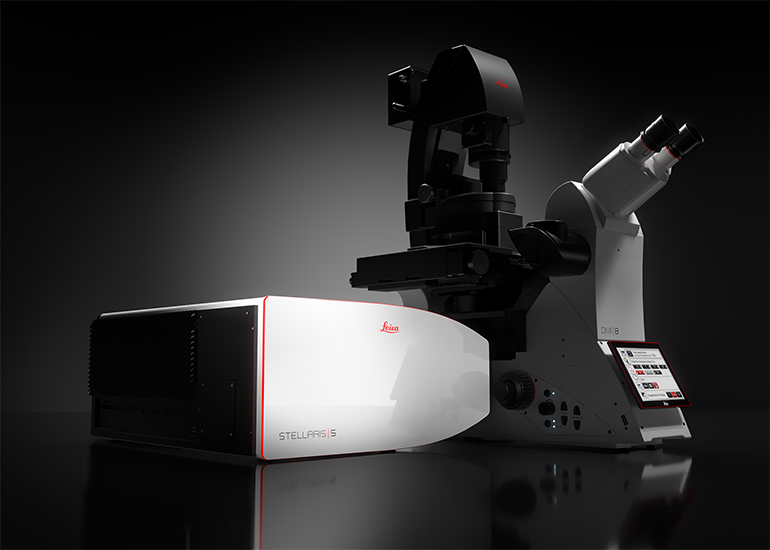 New Leica platform adds an additional dimension to confocal imaging