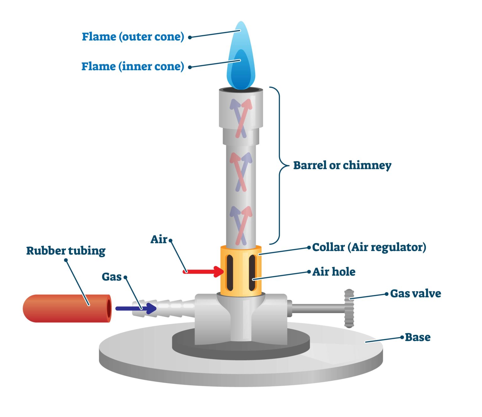 Bunsen Burner Diagram Labelled