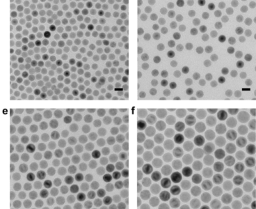 R&D 100 winner of the day: Binary Solvent Diffusion (BSD)