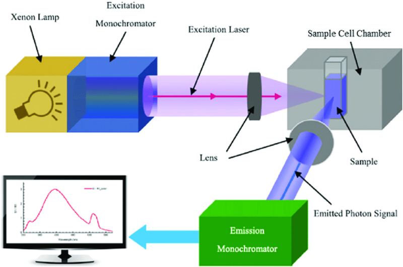 What is fluorescence spectroscopy? Research & Development World