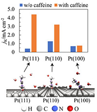 Supercharging fuel cells with caffeine