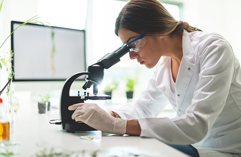 Young scientist doing a research