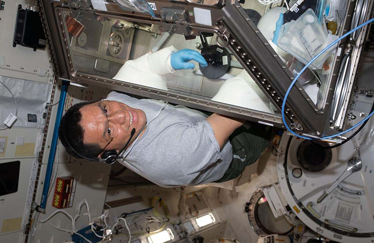 NASA astronaut Frank Rubio operates in the Life Sciences Glovebox.