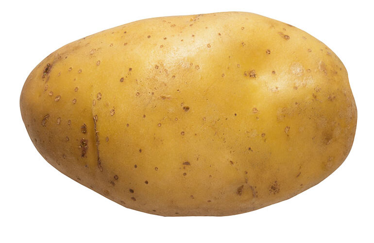 Fresh potato with skin on white background