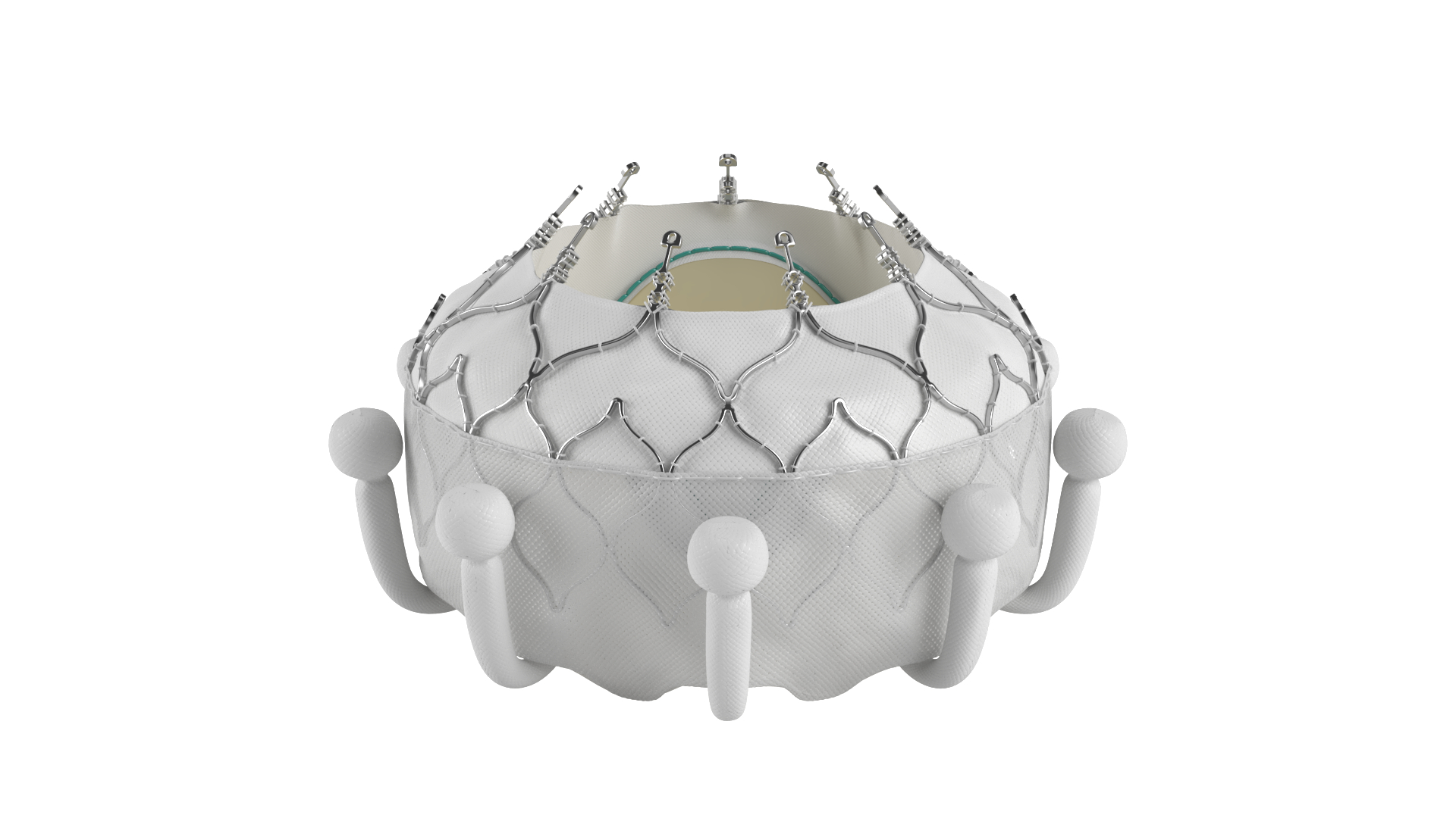 Image for Transcatheter Heart Valve Replacement