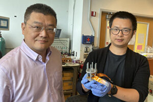 Iron Chloride Battery Research