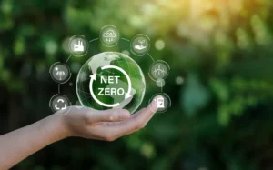 Net Zero