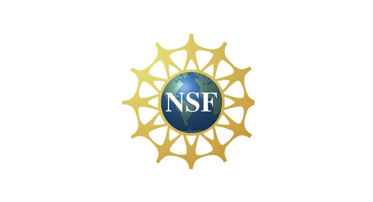 nsf