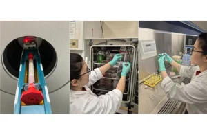 The bioanalytic system, featuring user-friendly assembly, holds reconstructed 3D cell tissue for PET scanning.