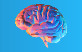 Colorful low poly side view brain illustration isolated on blue background