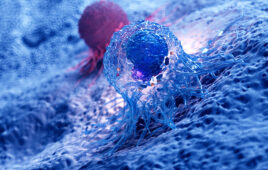 3d rendered illustration of the anatomy of a cancer cell