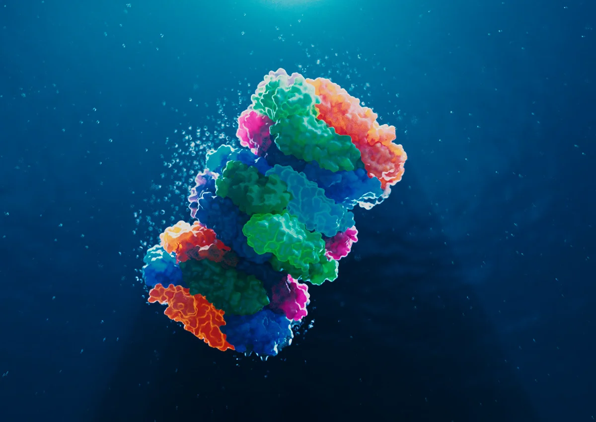 An illustration of the Phycobilisome protein complex (PDB 7SC8) — harvesting light in blue-green algae in a a Thermo Fisher brochure