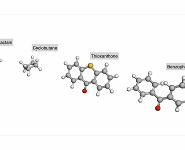 Visible‑light photoenzymes craft drug‑relevant β‑lactams and cyclobutanes in ordinary air