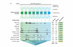 Google DeepMind's AlphaGenome AI predicts how non-coding DNA can lead ...