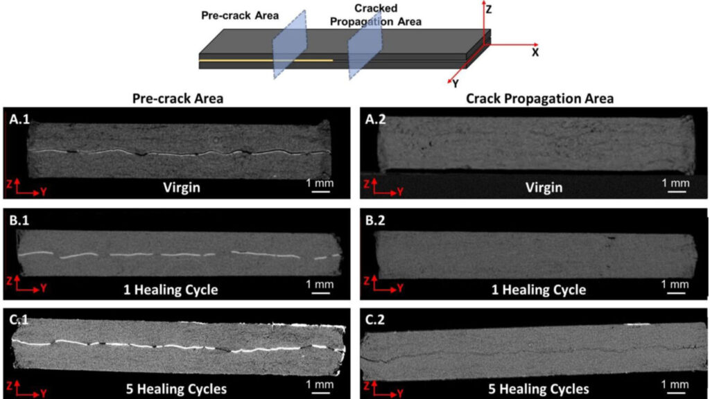 X-ray images of ATSP over five damage-healing cycles. In the first cycle, ATSP fully healed and regained its shape and strength. By the fifth, mechanical fatigue appeared, but durability and chemical stability remained intact. 