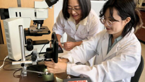 Dr. Carolyn Ren (left) works with PhD student Qianying (Alice) Mao at the University of Waterloo on a handheld device that detects E. coli bacteria in water within minutes.