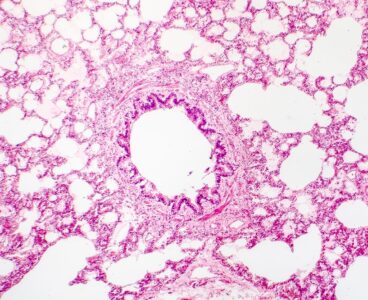 MIT team uses mysterious cell structure to record genetic activity