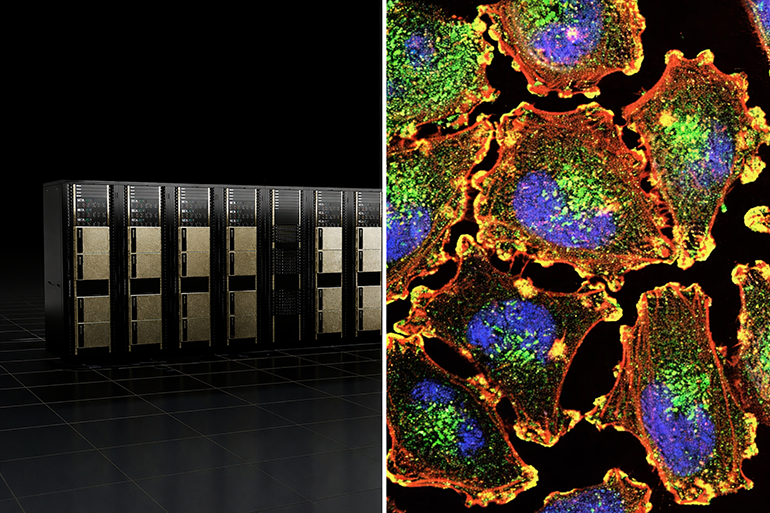 Lilly’s Chief AI Officer on the NVIDIA alliance behind a Bay Area lab and pharma’s biggest supercomputer