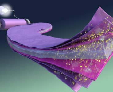 Researchers at Oak Ridge National Laboratory have developed new membrane architecture