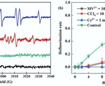 New method achieves 89% defluorination of PFOA in lab tests