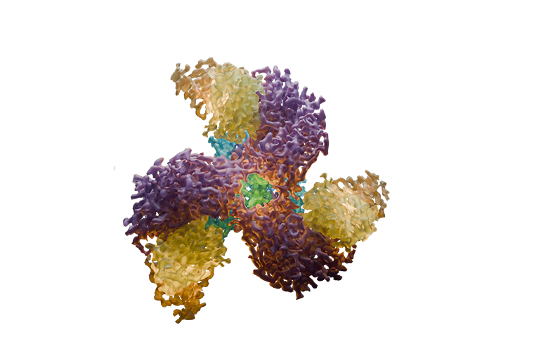 How Thermo Fisher’s Glacios 3 aims to broaden access to cryo-EM ...