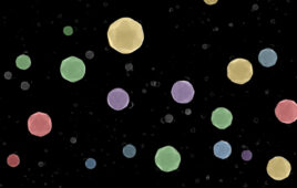 Colored scanning electron microscopy image showing multiple high-index-facet high-entropy alloy nanoparticles. Image courtesy of Northwestern.