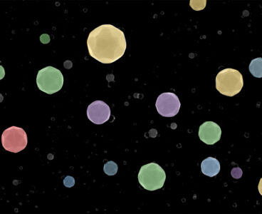 Colored scanning electron microscopy image showing multiple high-index-facet high-entropy alloy nanoparticles. Image courtesy of Northwestern.