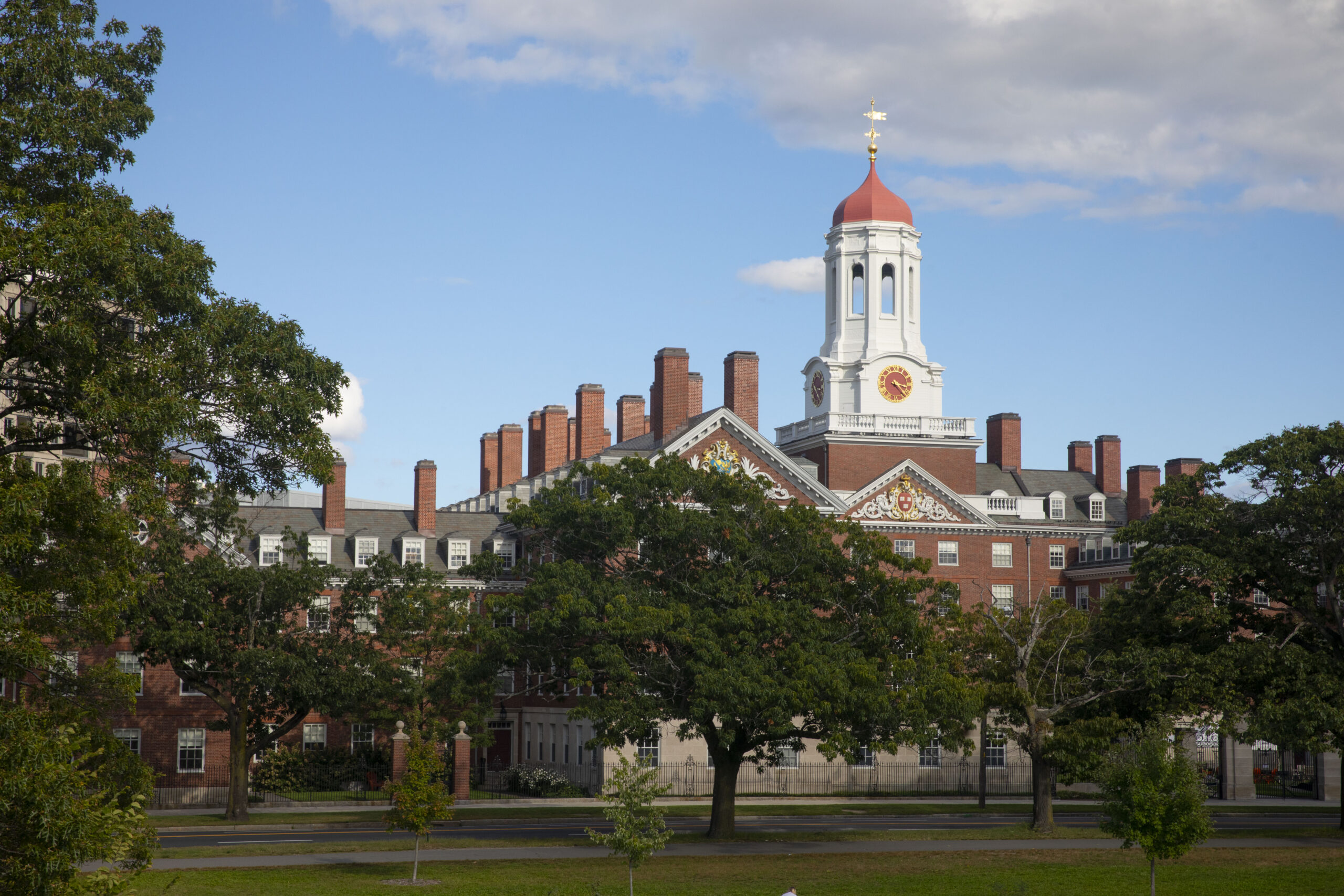 How academia is dealing with federal cuts to scientific research