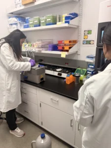 Researchers prepare samples at the Vitrobot vitrification station inside Thermo Fisher's new Cryo-EM Drug Discovery Center in South San Francisco. Sample preparation, including protein purification and grid preparation, determines whether a data collection run yields usable structural data.