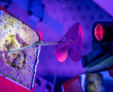 How a plant virus could keep astronauts medicated on a trip to Mars