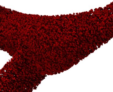 How a Duke-led HPC method brought cell-scale cancer simulation to a single cloud node
