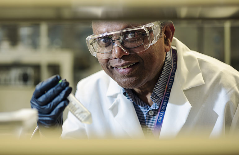 Parans Paranthaman conducts lithium extraction research using brines at Oak Ridge National Laboratory. Credit: Carlos Jones/ORNL, U.S. Department of Energy.