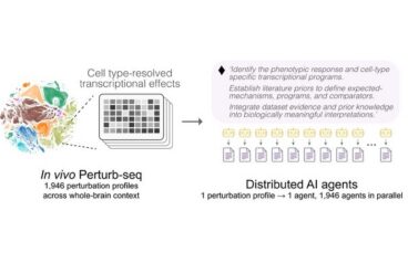 Schematic of a whole-brain Perturb-seq atlas split into 1,946 perturbation profiles, each analyzed by its own AI agent.