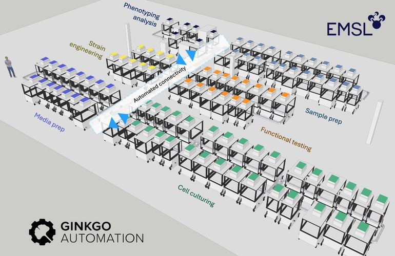 Schematic of the M2PC lab interior showing rows of Ginkgo Bioworks automated instrument carts for media prep, strain engineering, cell culturing, functional testing, sample prep and phenotyping analysis, linked by automated connectivity