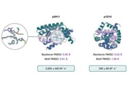 Two RFD4-Proteina-designed enzymes that break down the pesticide paraoxon, with their structural accuracy and catalytic efficiency.